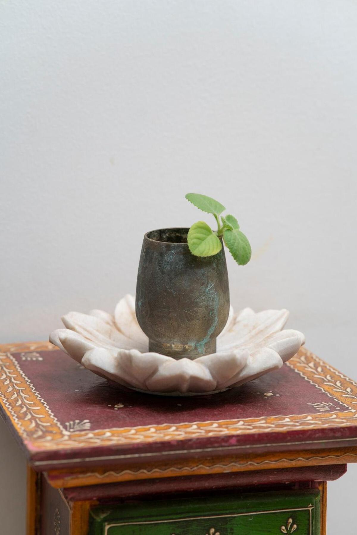 Santosh Villa - The House Of Antiques And Art Udaipur Bagian luar foto